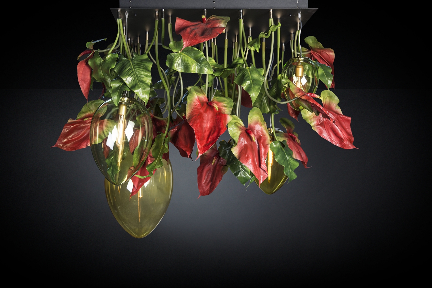 1628082953-8880155.96_ANTHURIUM RED_FPAnthurium